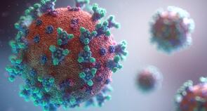 Imunidade contra Coronavírus não existe, apontam estudos