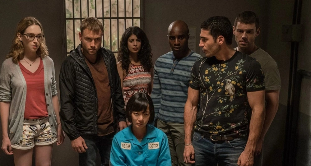 sense 8