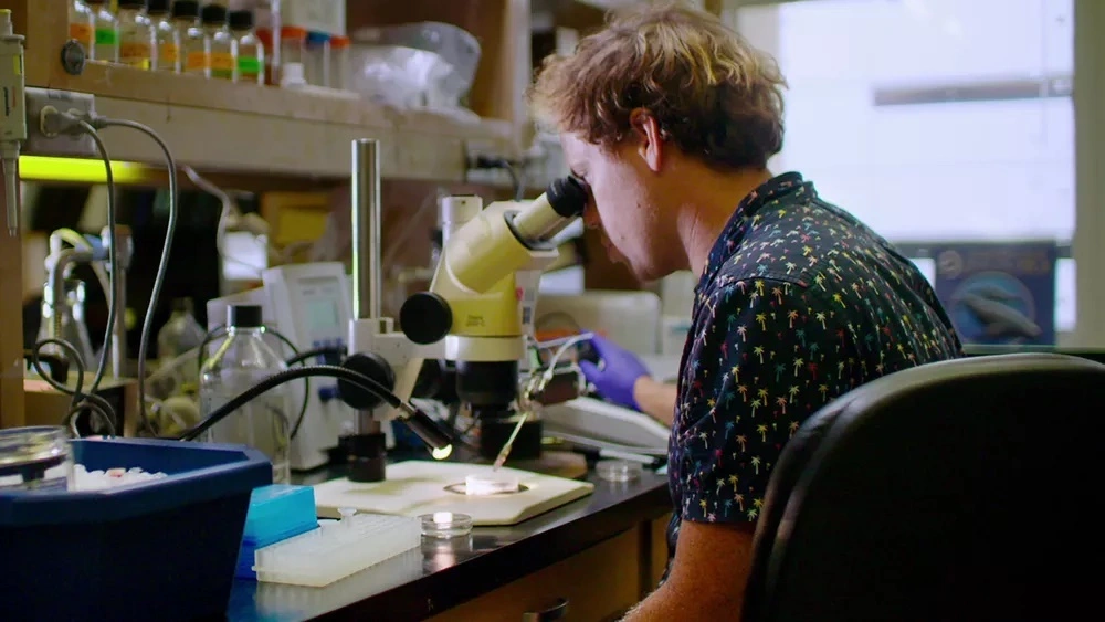 Human Nature lançamentos netflix maio