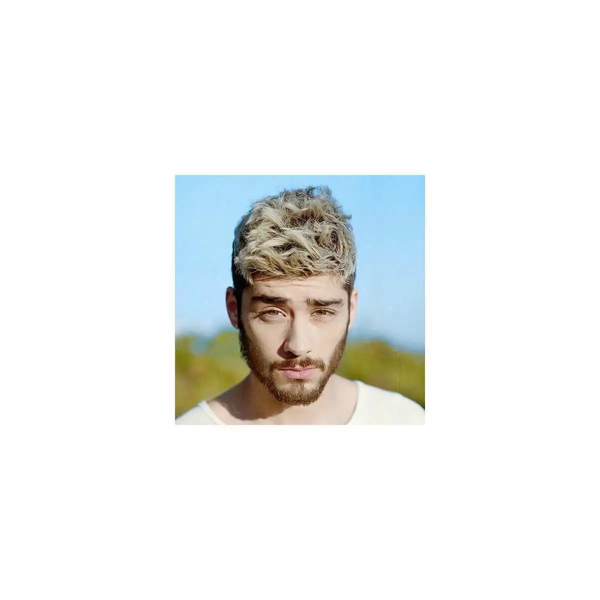 Crédito: Reprodução