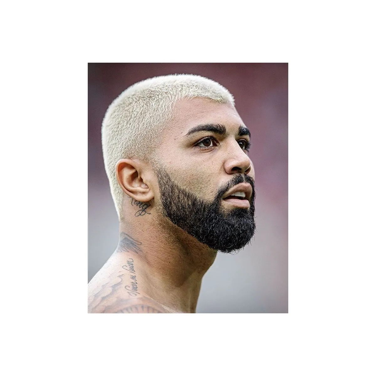 Crédito: Reprodução