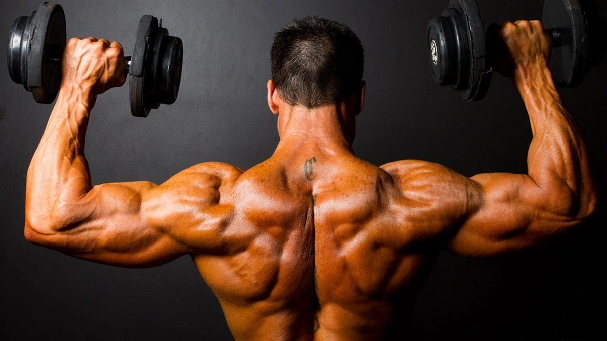 musculação - Melhores atividades