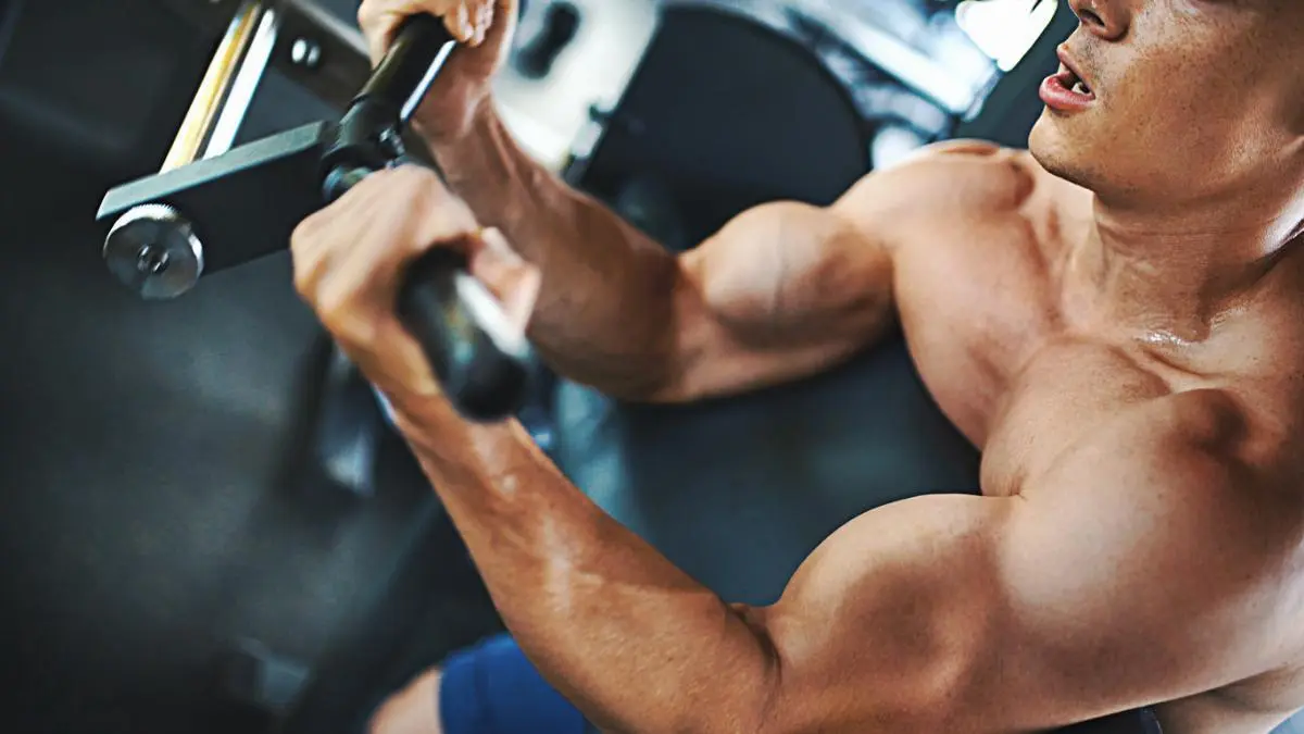 Você certamente está cometendo esses erros no treino de braço!