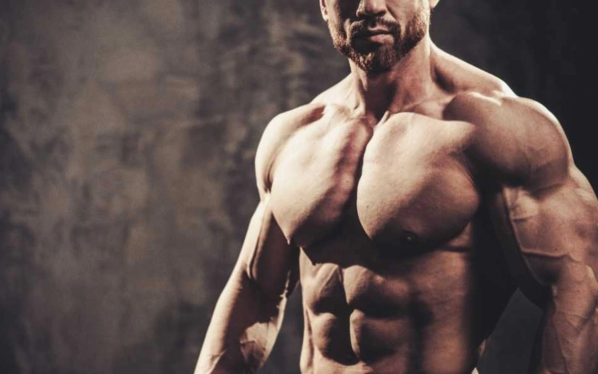 melhores exercícios para o peitoral