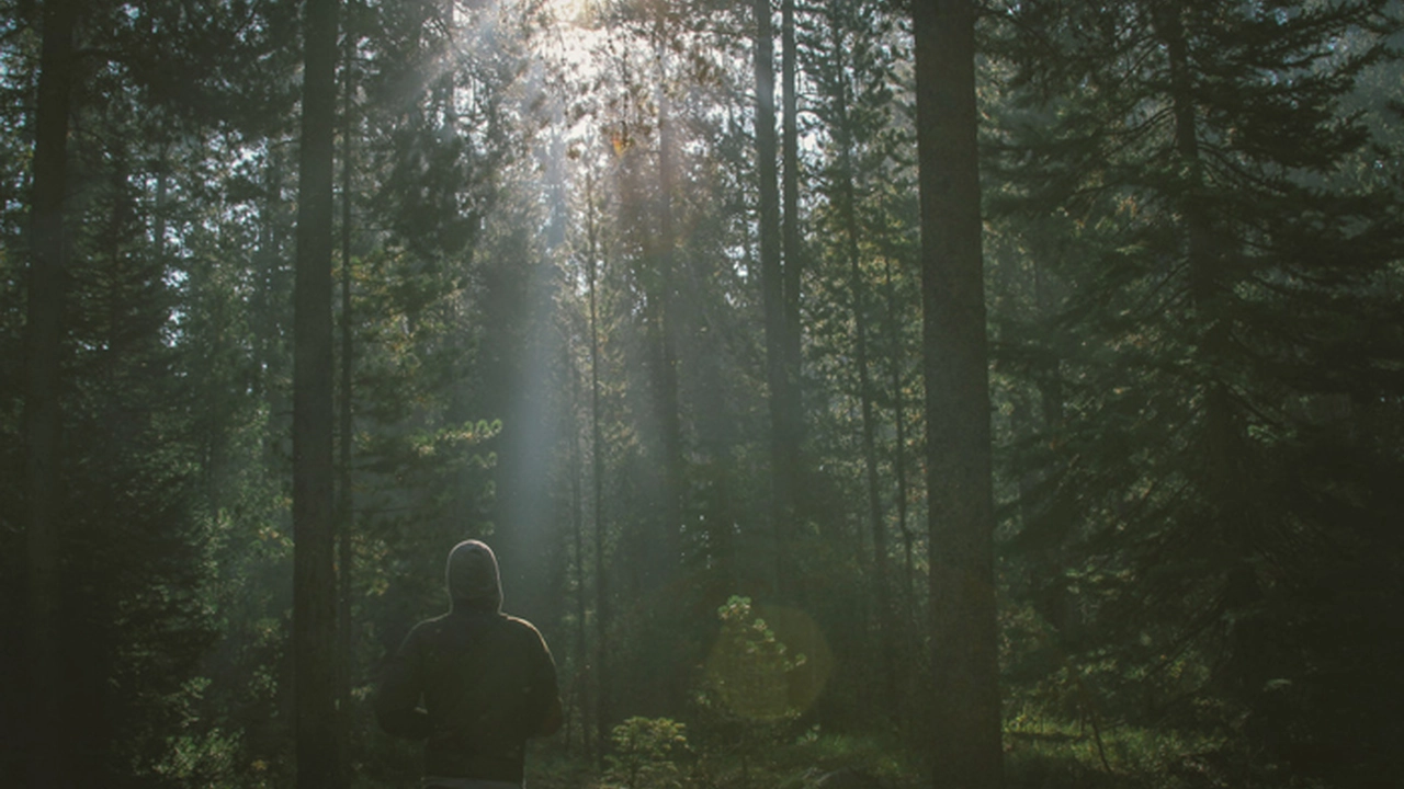 8 Lições de vida que mesmo os não-cristãos podem aprender com Jesus