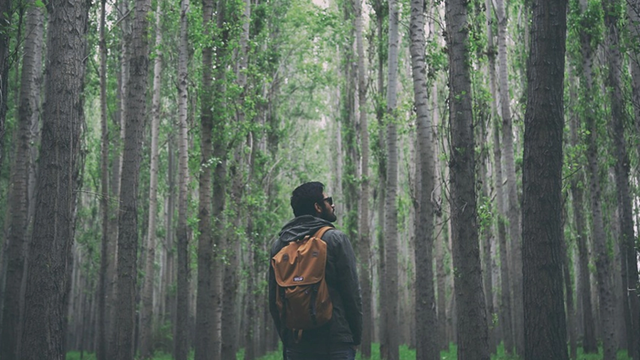 8 Lições de vida que mesmo os não-cristãos podem aprender com Jesus