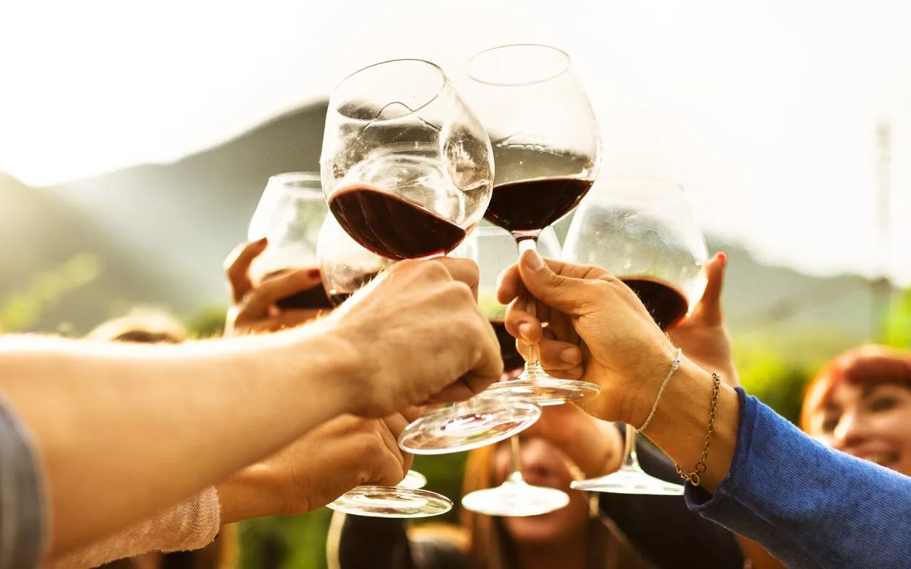 Vinho foi descoberto há cerca de 6.000 anos no Oriente Médio