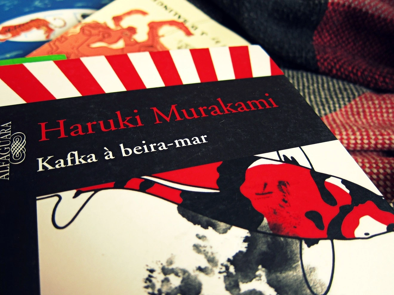 Livros que todo mundo deveria ler mas que você continua enrolando pra começar!