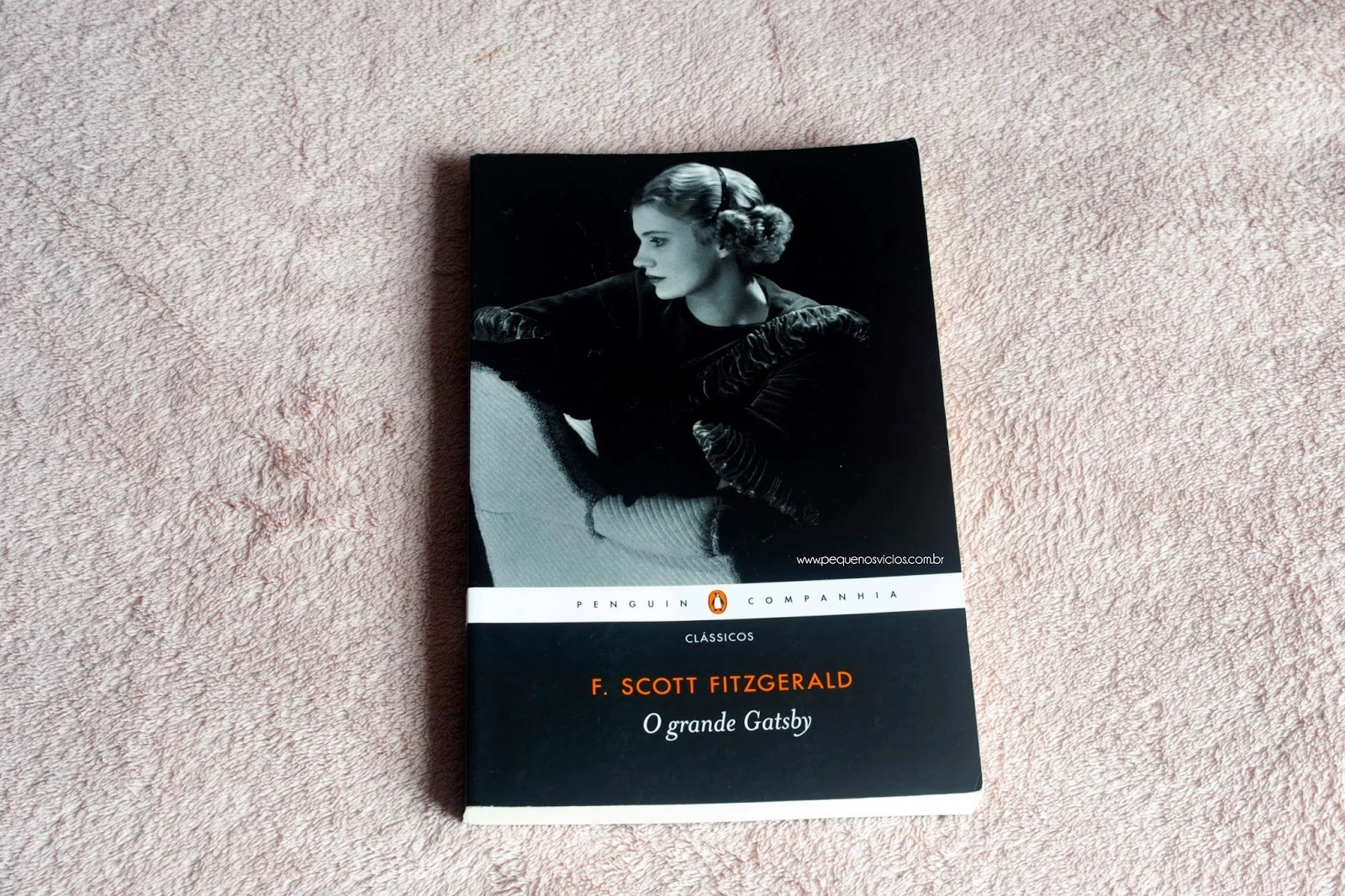 Livros que todo mundo deveria ler mas que você continua enrolando pra começar!