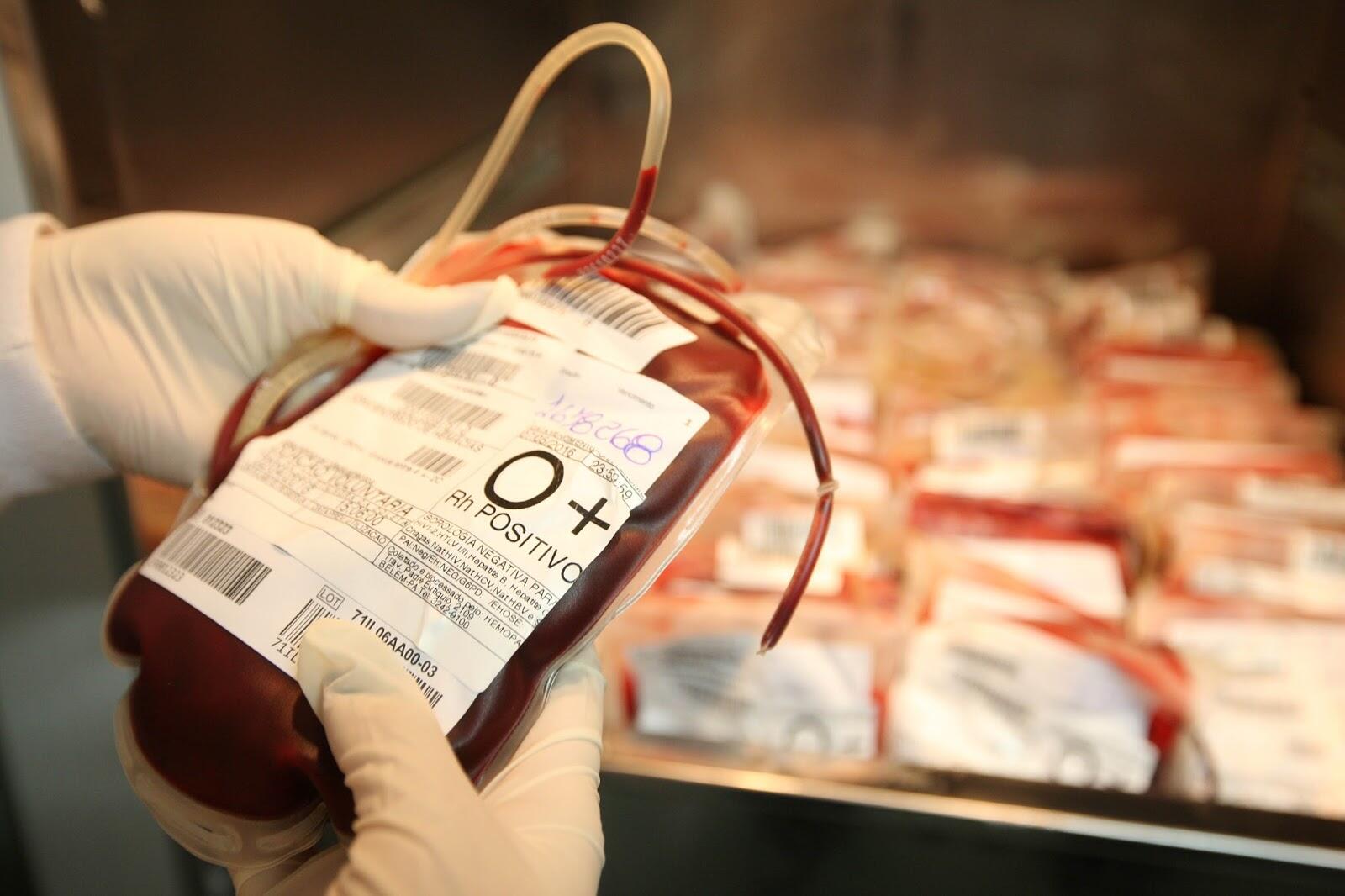 Fundação pede doação de sangue antes do Carnaval. Veja como ajudar!
