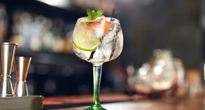 8 jeitos de turbinar a receita do seu gin tônica