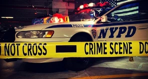 Por que carros da polícia de Nova York estão fazendo sucesso no Brasil