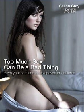 Sasha Grey 16