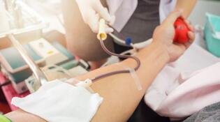 Anvisa autoriza doação de sangue por homens gays