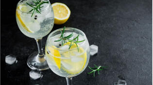 Gin com especiarias: confira 10 receitas diferentes para seu Gin Tônica