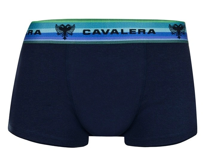Cueca Sunga Cavalera Ted Algodão Marinho