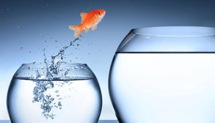 Como ter disciplina: 6 passos para construir uma disciplina inquebrável