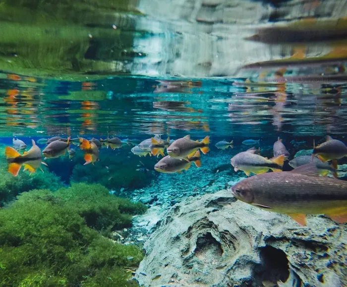 Bonito, no Mato Grosso do Sul