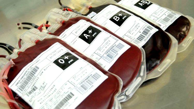 Fundação pede doação de sangue antes do Carnaval. Veja como ajudar!