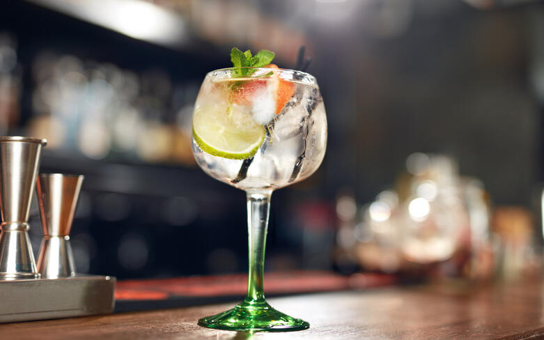 Conheça novas formas de turbinar sua receita de gin tônica