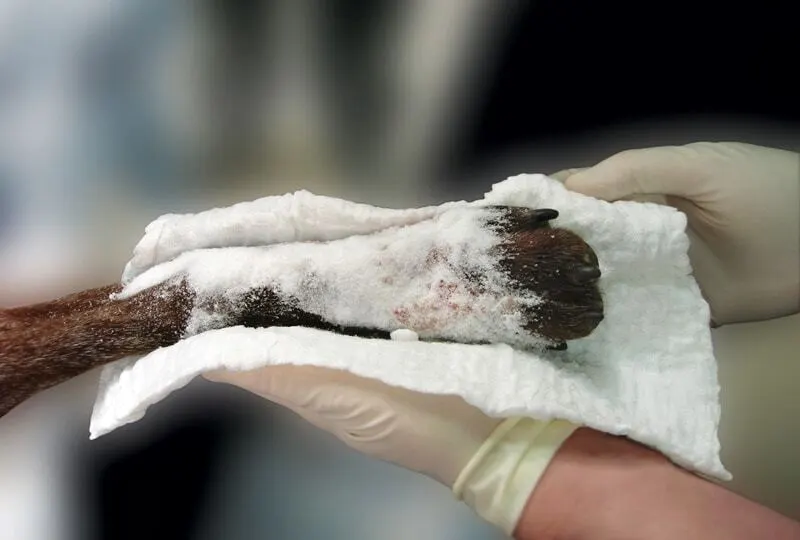 11 truques militares para facilitar a sua vida e melhorar sua rotina