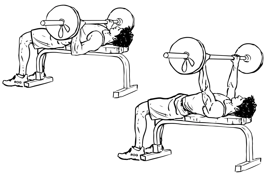 exercicio-supino-reto-barra