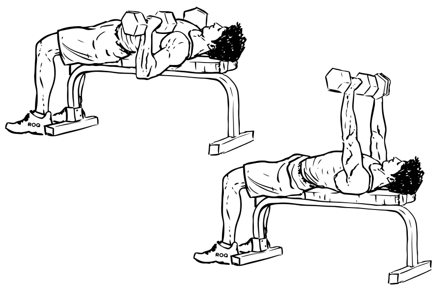 exercicio-supino-halteres